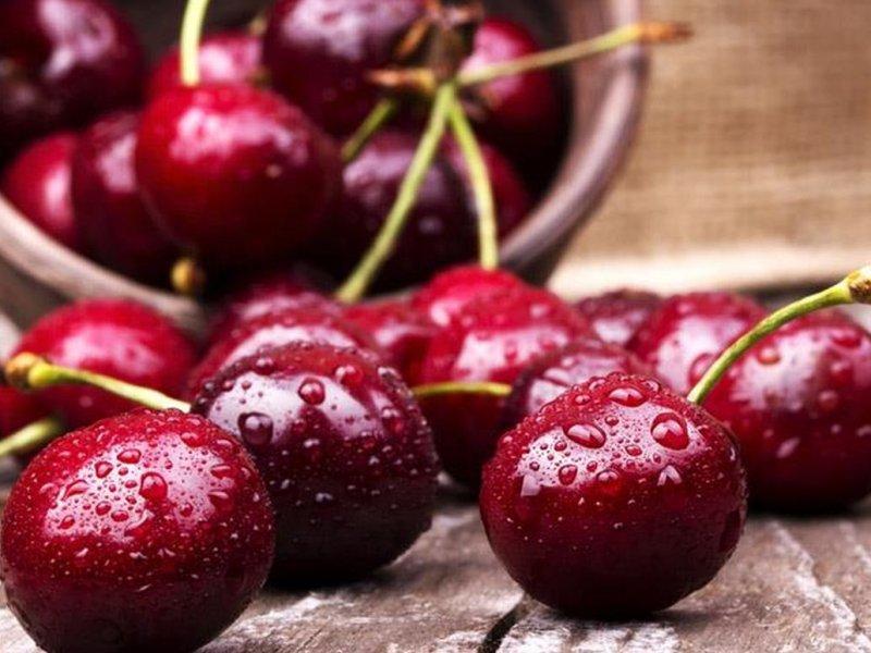 Вишня купить саженцы из питомника в Одинцово